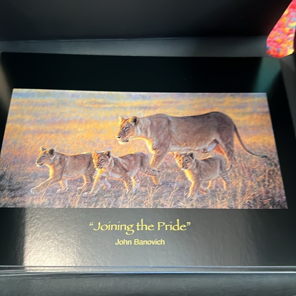 🤿New John Banovich set of postcards oil painting - Picture 1 of 8